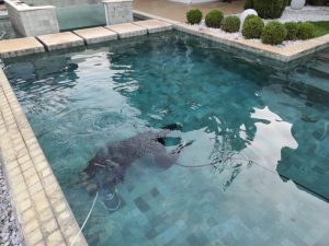 Inspeção submersa estrutural de piscina
